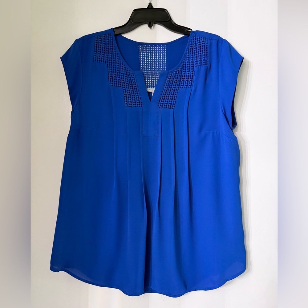 Daniel Rainn Royal Blue Blouse with Embroidered Detail